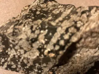 Snowflake obsidian sten