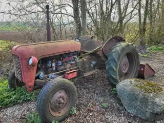 Gammel rød traktor med lidt redskaber