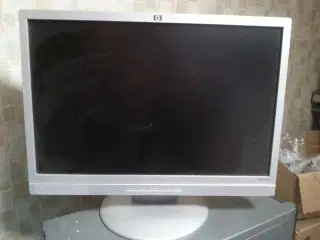 HP 19" monitor