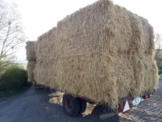 Vårbyghalm i big og minbig sælges