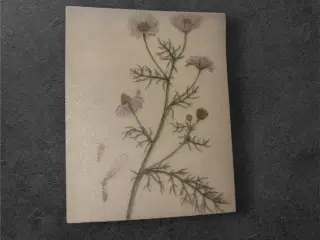 Fortryllende papir til kreative projekter