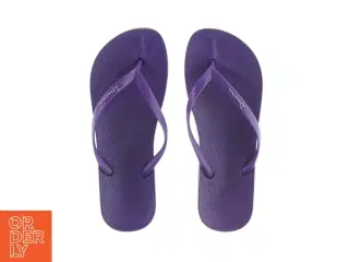 Klipklapper fra Ipanema (Str. 37)