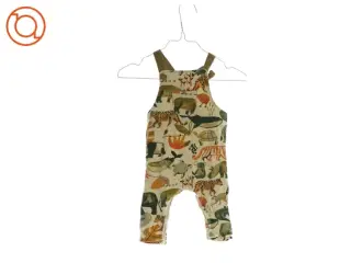 Heldragt (Str. ca. 74 cm)