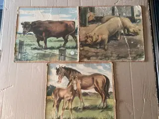 Retro billeder, motiv på begge sider