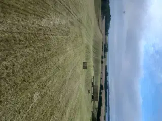 Hø lavet på heste blanding