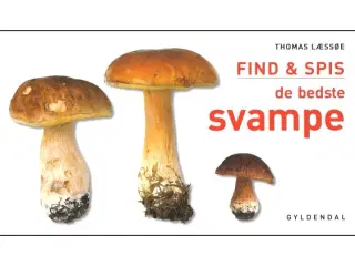 Find & spis de bedste Svampe