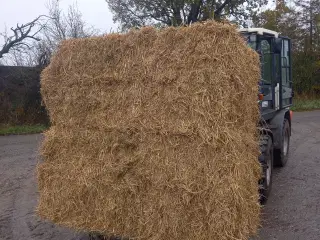 Rug Halm I minbig 190 cm lang