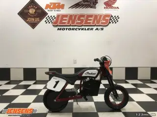 Indian eFTR Mini