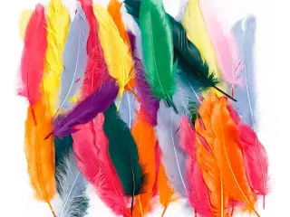 Ass. Farvede Fjer 12-15 cm - 350 stk. til Kreativitet