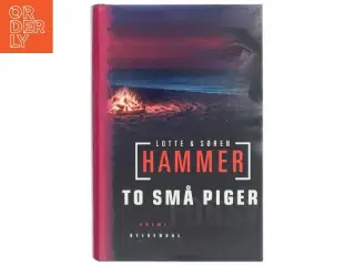 To små piger : krimi af Lotte Hammer (Bog)