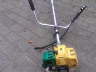 buskrydder