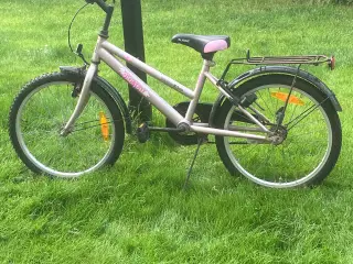 20" Pigecykel