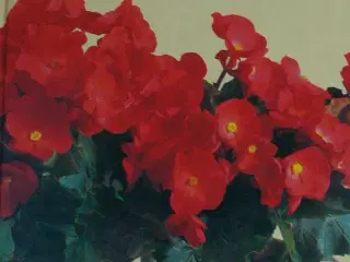 Blomstrende planter