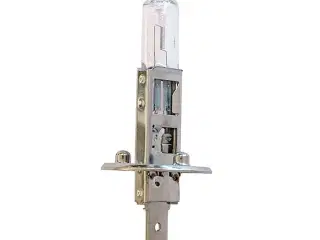 Avant pære H1 55W 12V