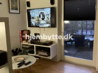 Hjembytte - Timorvej
