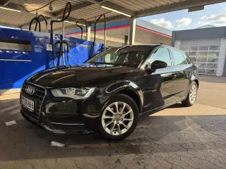 Audi A3 1,6 TDi 110 Attraction Sportback