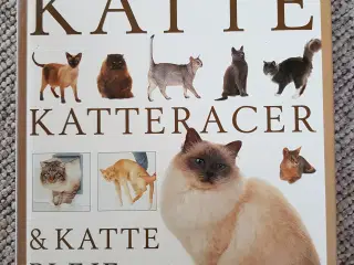 Bogen om Alverdens katte