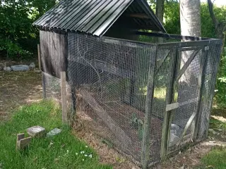 2 stk. hun-kaniner med tilbehør
