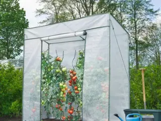 drivhus 198x78x200 cm