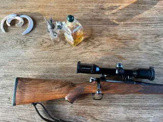 Mauser m12 expert
