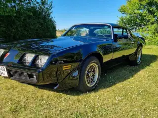 Pontiac firebird 1980