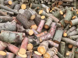 Brænde ,nåle og løvtræ, tørt