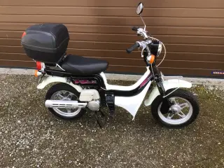Suzuki fz 50