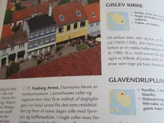 POLITIKENS STORE DANMARKS Bog.