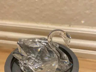 Swarovski svane