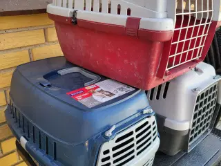 Transportbure