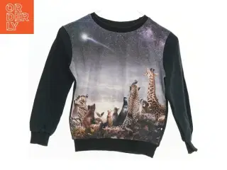 Sweatshirt med dyremotiv fra Molo (str. 98)