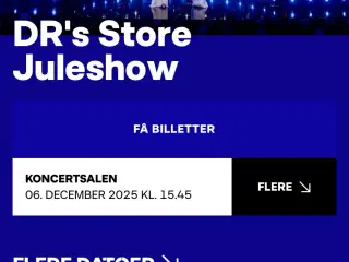1 billet til DR store juleshow 