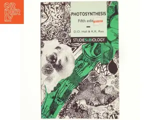 Photosynthesis (Bog)