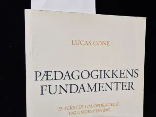 Pædagogikkens fundamenter 