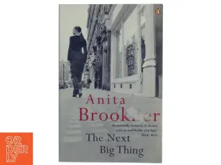 The next big thing af Anita Brookner (Bog)