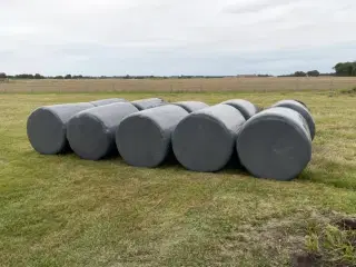 Wrap 