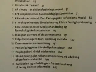 læreprocesser i klinisk sygeplejerskeuddannelse, a
