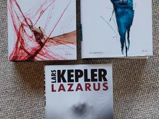 Netspinderen, Spejlmanden, Lazarus af Lars Kepler