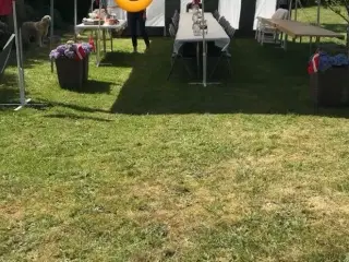 Partytelt KUN UDLEJNING
