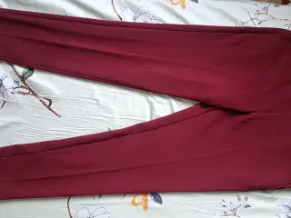 Versatile Maroon Pant