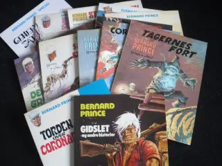 Bernard Prince 14 albums