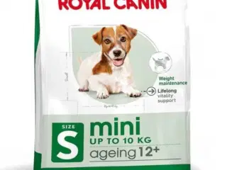 royal canin mini ageing 12+