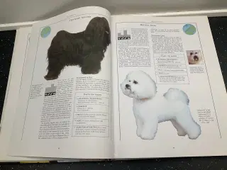 Hunde illustreret opslagsværk 
