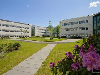 Kontorfællesskab ud til åbne grønne arealer