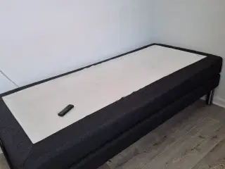 Elevationsseng