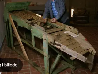 Kartoffel sorteringsmaskine