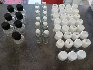 Sampleglas whisky 50 stk