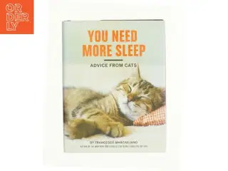 You need more sleep (Bog)