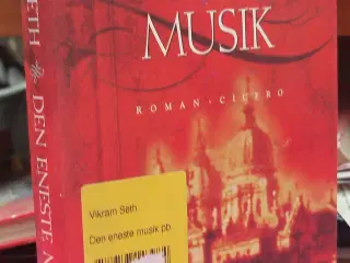 Den eneste musik af Vikram Seth