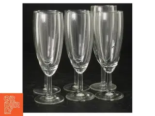 Champagneglas